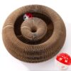 Cat Ball Adventure The Ultimate Interactive Mental & Physical Exercise for Indoor Cats