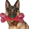 ough Dog Toys for Aggressive Chewers Beef Flavor: 8" Dog Chew Bone for Large Breed, Nylon & Rubber Chew Toy for Medium Large Dogs