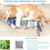 Cat Toys Flopping Fish with Catnip, Moving Cat Toy Interactive for Indoor Cats, Kitten Kicker Floppy Dog Toy, 11" Electric Realistic Plush Wiggle Fish for Kitty Exercise