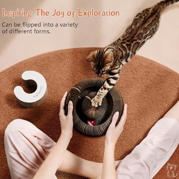 Cat Ball Adventure The Ultimate Interactive Mental & Physical Exercise for Indoor Cats