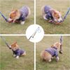 Flirt Pole for Dogs Interactive Dog Toys for Large Medium Small Dogs Chase and Tug of War, Dog Teaser Wand with Lure Chewing Toy for Outdoor Exercise & Training