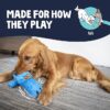 Gators Squeaky Plush Dog Toy with Chew Guard Technology, Durable Fabric & Squeaker for Active Play, Blue, Large