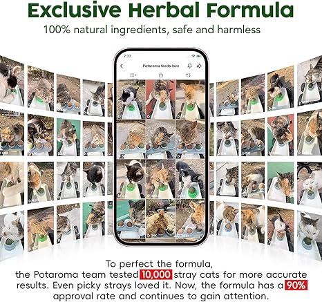 4 Catnip Silvervine Ball Toys, Extra Cat Energy Ball, Edible Cats Lick Kitten Chew, Teeth Cleaning Dental Wall Treats, Concentrated Flavor for All Breeds