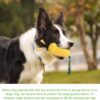 Dog Chew Toys for Aggressive Chewers, Indestructible Tough Durable Squeaky Interactive Dog Toys, Puppy Teeth Chew Corn Stick Toy for Small Medium Large Breed