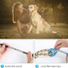 Flirt Pole for Dogs Interactive Dog Toys for Large Medium Small Dogs Chase and Tug of War, Dog Teaser Wand with Lure Chewing Toy for Outdoor Exercise & Training