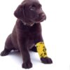 9 Rolls Pet Vet Wrap Self Adhesive Bandage Cohesive Dog Bandages for Pets Elastic Bandage Vet Wrap Tape for Wrist Ankle Sprains & Swelling 5cm x 4.5m
