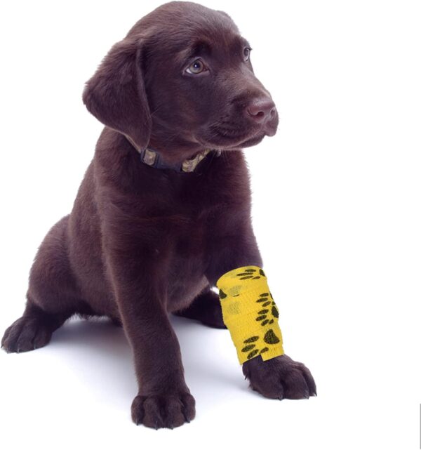 9 Rolls Pet Vet Wrap Self Adhesive Bandage Cohesive Dog Bandages for Pets Elastic Bandage Vet Wrap Tape for Wrist Ankle Sprains & Swelling 5cm x 4.5m