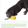 Dog Chew Toys for Aggressive Chewers, Indestructible Tough Durable Squeaky Interactive Dog Toys, Puppy Teeth Chew Corn Stick Toy for Small Medium Large Breed