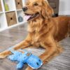 Gators Squeaky Plush Dog Toy with Chew Guard Technology, Durable Fabric & Squeaker for Active Play, Blue, Large