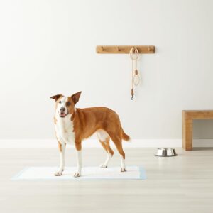 Leakproof Dog and Puppy Pee Pads with 5-Layer Quick-Dry Surface for Potty Training, Standard Absorbency, Giant, , Pack of 40, Blue & White