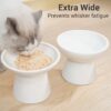 2 Elevated Ceramic Cat Bowls Extra Wide for Food & Water – Whisker Fatigue Shallow Food Dish, Lead & Cadmium-Free, Raised Height for Cats and Dogs, Two Different Depth Bowls, White
