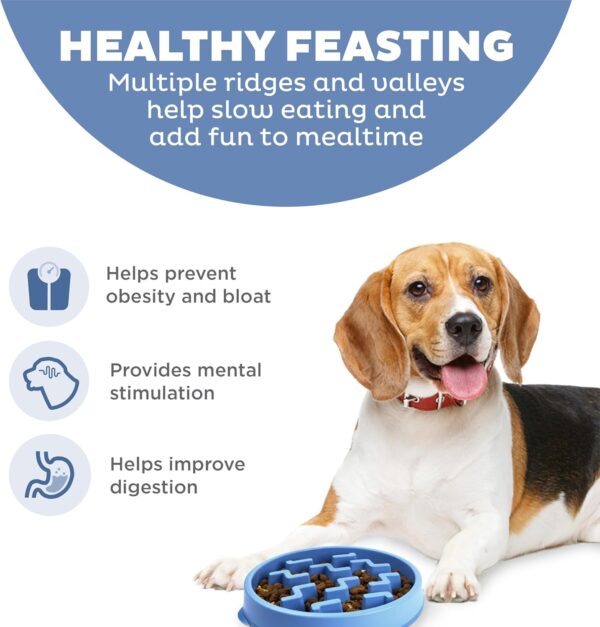 Slow Feeder Dog Bowl - Makes Meal Time Fun, Slows Down Eating, Promotes Healthy Digestion, Prevents Bloat | Slip Resistant and Durable, Food & Water Bowl, Size Medium (Blue)