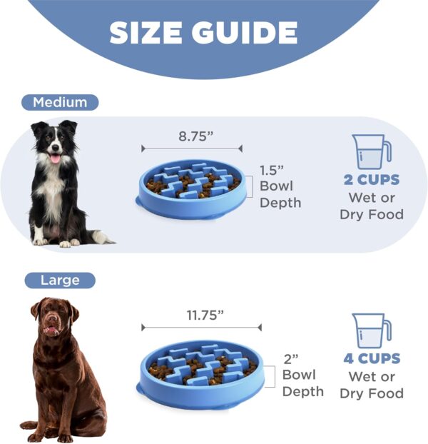 Slow Feeder Dog Bowl - Makes Meal Time Fun, Slows Down Eating, Promotes Healthy Digestion, Prevents Bloat | Slip Resistant and Durable, Food & Water Bowl, Size Medium (Blue)