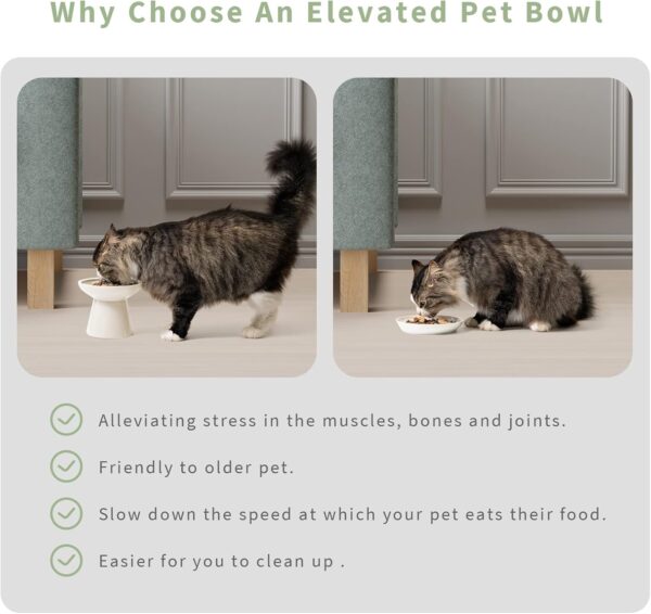2 Elevated Ceramic Cat Bowls Extra Wide for Food & Water – Whisker Fatigue Shallow Food Dish, Lead & Cadmium-Free, Raised Height for Cats and Dogs, Two Different Depth Bowls, White