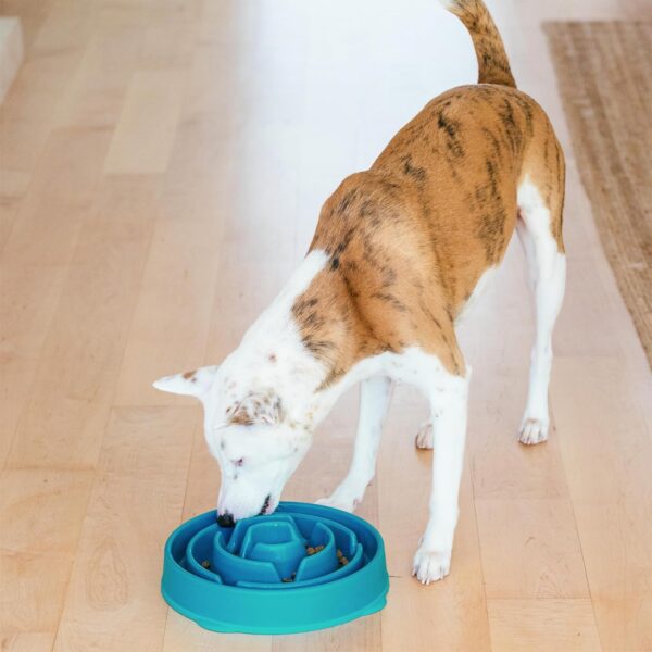 Slow Feeder Dog Bowl - Makes Meal Time Fun, Slows Down Eating, Promotes Healthy Digestion, Prevents Bloat | Slip Resistant and Durable, Food and Water Bowl, Size Large (Turquoise)