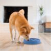 Slow Feeder Dog Bowl - Makes Meal Time Fun, Slows Down Eating, Promotes Healthy Digestion, Prevents Bloat | Slip Resistant and Durable, Food & Water Bowl, Size Medium (Blue)