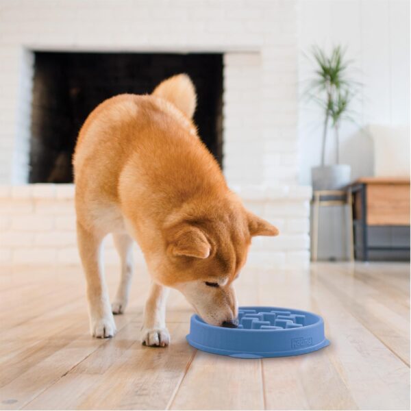 Slow Feeder Dog Bowl - Makes Meal Time Fun, Slows Down Eating, Promotes Healthy Digestion, Prevents Bloat | Slip Resistant and Durable, Food & Water Bowl, Size Medium (Blue)