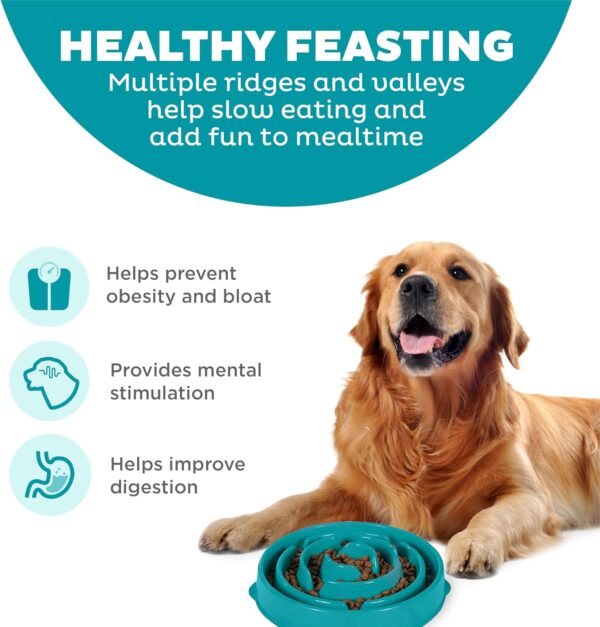 Slow Feeder Dog Bowl - Makes Meal Time Fun, Slows Down Eating, Promotes Healthy Digestion, Prevents Bloat | Slip Resistant and Durable, Food and Water Bowl, Size Large (Turquoise)
