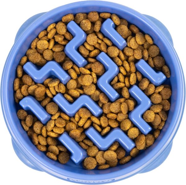 Slow Feeder Dog Bowl - Makes Meal Time Fun, Slows Down Eating, Promotes Healthy Digestion, Prevents Bloat | Slip Resistant and Durable, Food & Water Bowl, Size Medium (Blue)